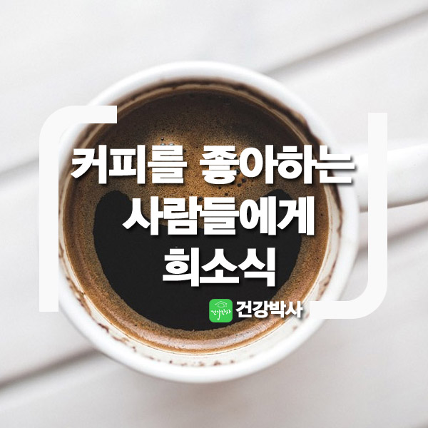 최근희소식 이미지